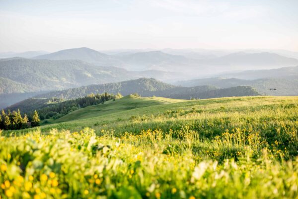 Pogoda i klimat na Ukrainie